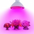 BASIC LED GROW žiarovka na všetky rastliny, 8W, E27, SMD 2835, fialová